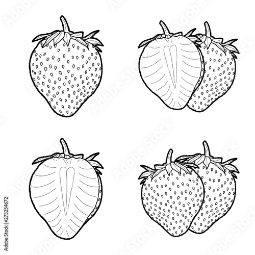 Strawberry Vector Illustration Hand Drawn Fruit Cartoon Ar