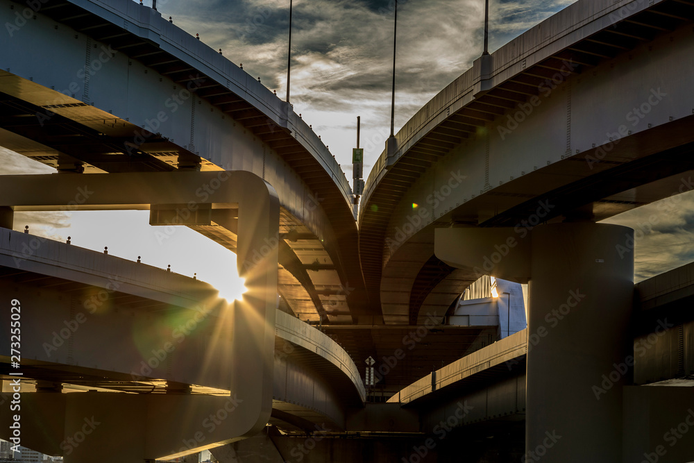 Fototapeta premium 荒川堤防 350