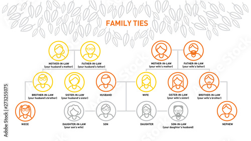 Family diagram, family ties infographics, generations of relatives, family tree diagram. Set of  impersonal people vector line icons.