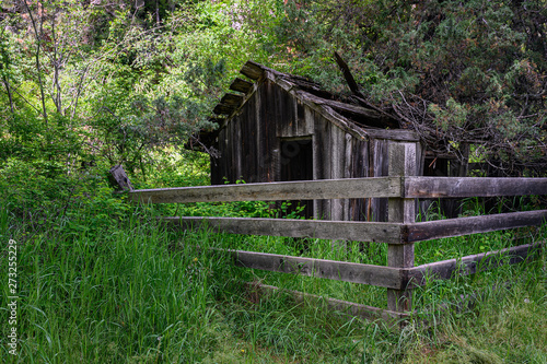 house, old, wooden, barn, wood, building, rural, cabin, farm, country, forest, landscape, grass, village, architecture, nature, hut, green, trees, shed, cottage, home, summer, roof, rustic, burnt, wre