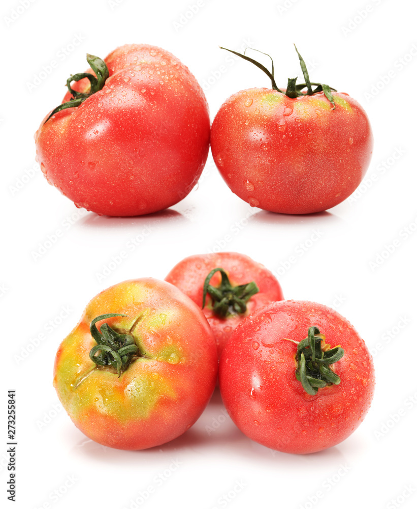 tomato on white background tomato on white background