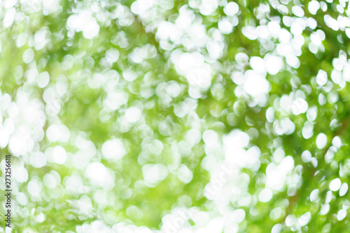 Abstract green nature background. Blurred green bokeh natural texture.