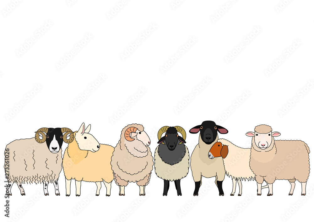 Obraz premium cute cartoon sheep group