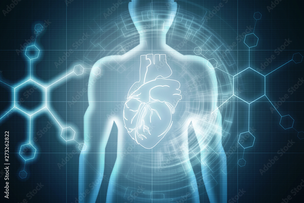 2d illustration Anatomy of Human Heart 2d illustration Anatomy of Human Heart