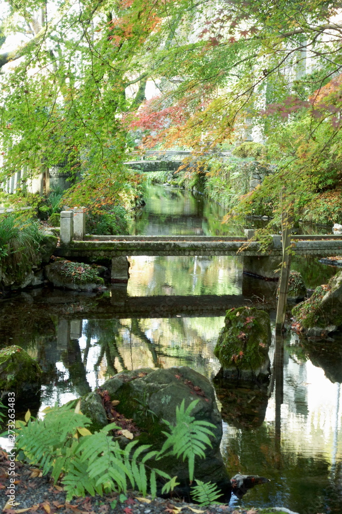 Fototapeta 滋賀県米原市醒ヶ井にある地蔵川と紅葉の風景