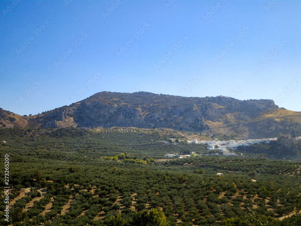 快晴の秋のアンダルシア　オリーブ畑に囲まれた白い村（スペイン・アンダルシア）