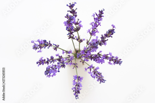 Bunch of lavender flowers in vase, top view