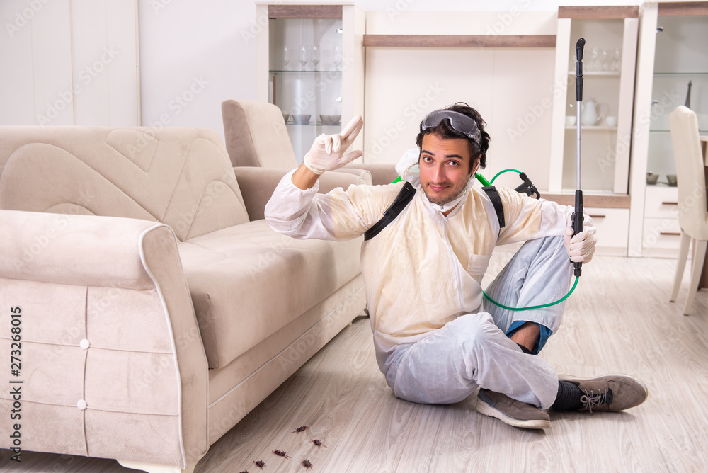Pest control contractor working in the flat Pest control contractor working in the flat