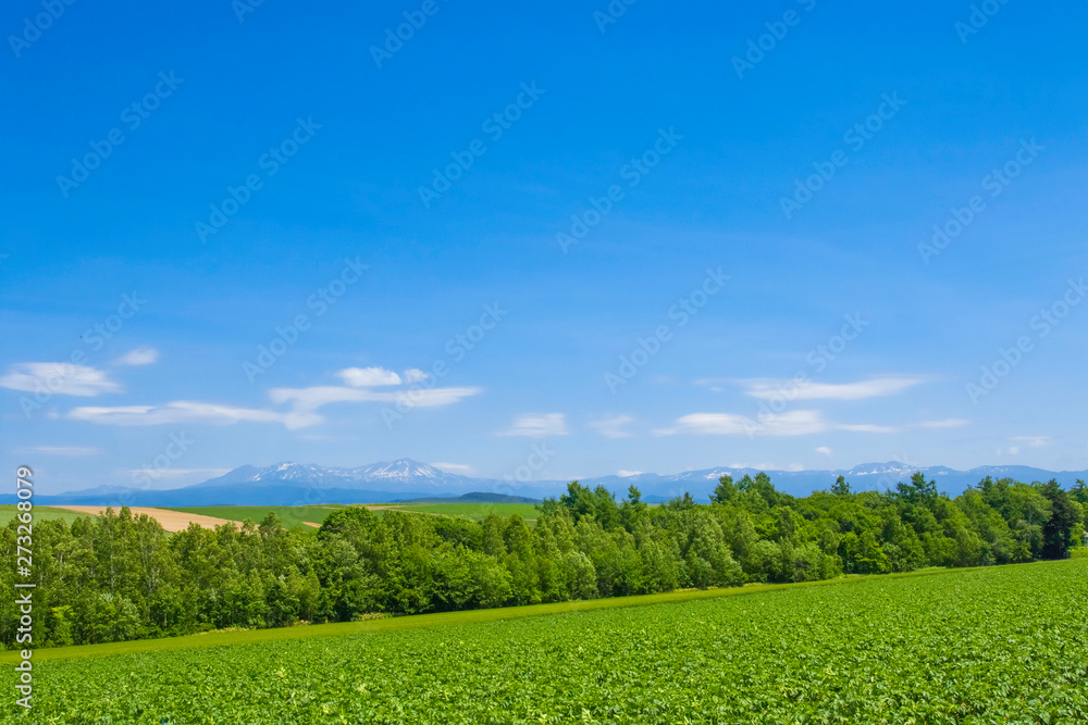 日本の北海道大地と青空シンプル背景stock Photo Adobe Stock