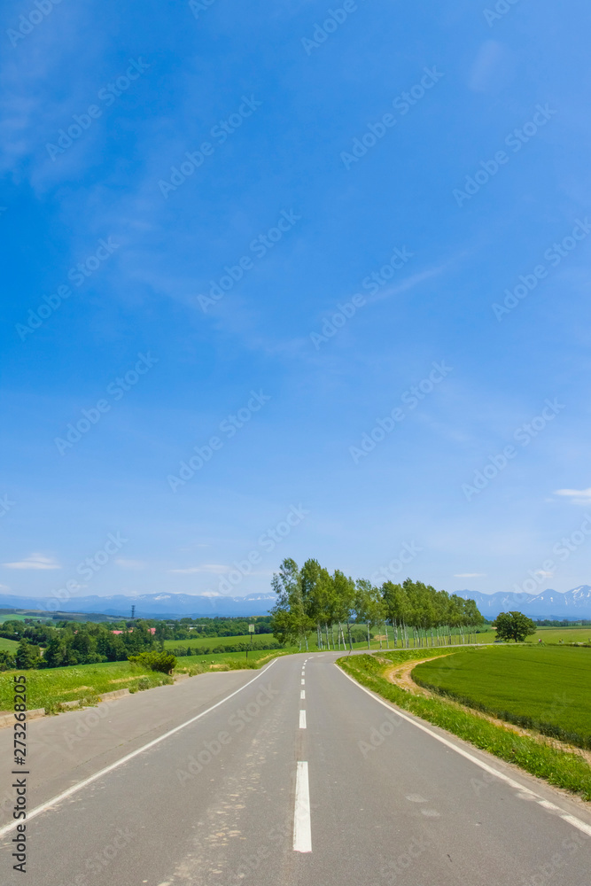 日本の絶景の道　青空テクスチャ