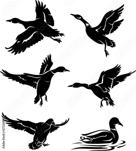 Wild Ducks Silhouette