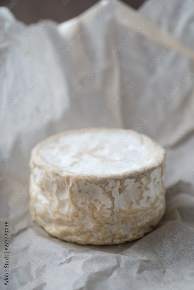 Camembert, soft cheese on crumpled paper background Camembert, soft cheese on crumpled paper background