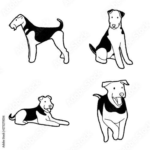 Airedale Terrier Vector Illustration Hand Drawn Animal Cartoon Art