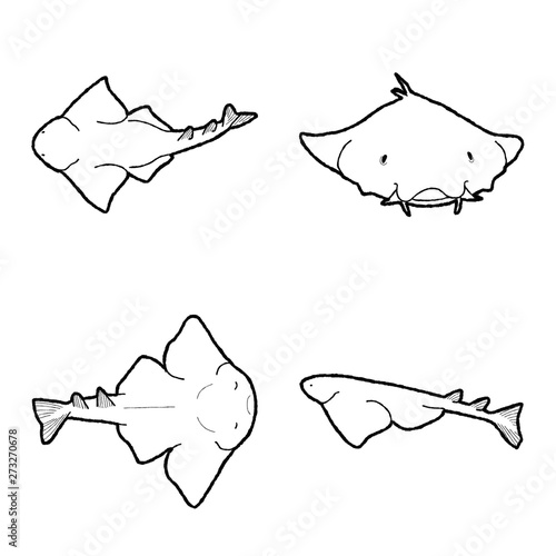 Angelshark Vector Illustration Hand Drawn Animal Cartoon Art
