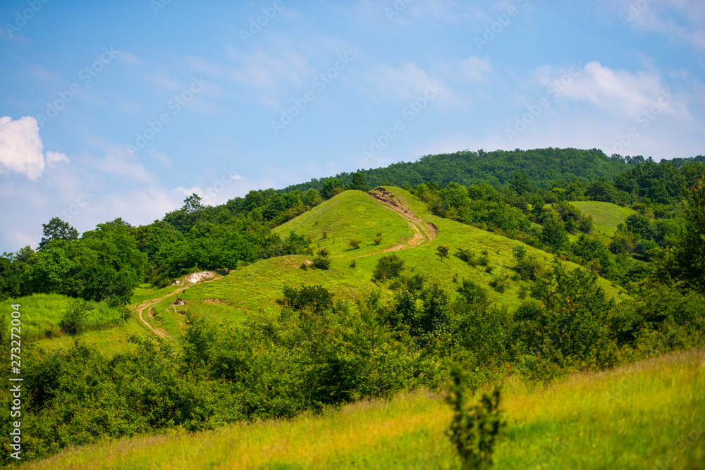 Obraz premium Summer landscape