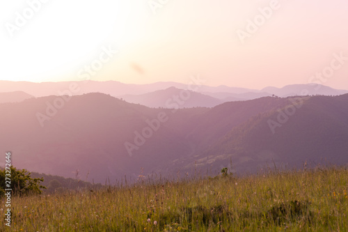 landscape nature summer