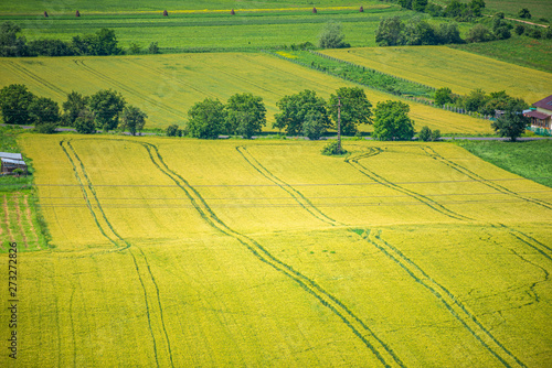 Traces on the wheat field © somra