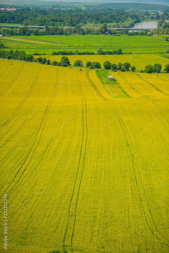Traces on the wheat field Traces on the wheat field