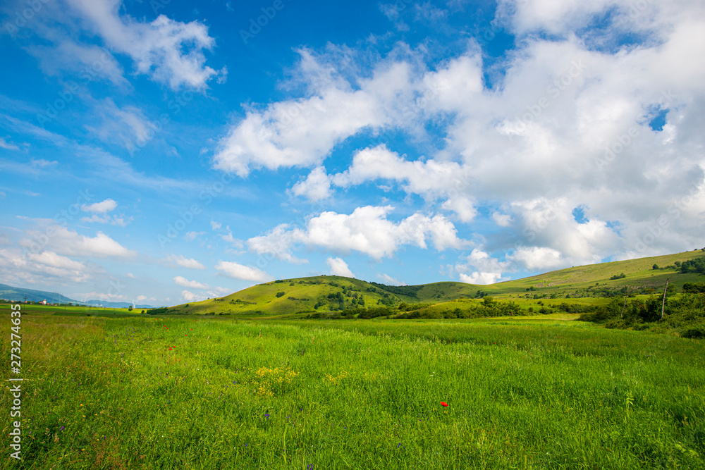 Springtime landscape Springtime landscape