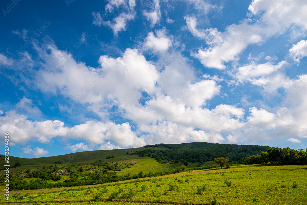 Springtime landscape