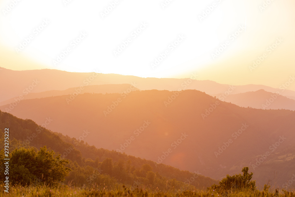 landscape nature summer