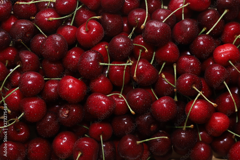 Close-up of a bunch of ripe cherries with peduncles. Large collection of fresh red cherries. Ripe cherries background. Close-up of a bunch of ripe cherries with peduncles. Large collection of fresh red cherries. Ripe cherries background.