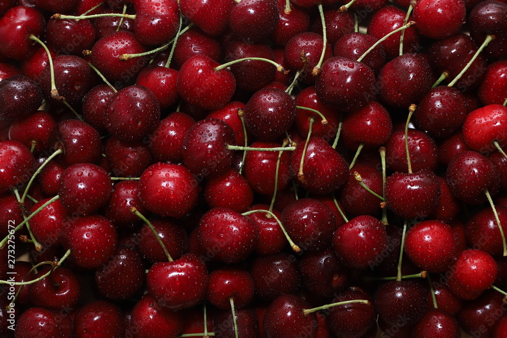 Close-up of a bunch of ripe cherries with peduncles. Large collection of fresh red cherries. Ripe cherries background. Close-up of a bunch of ripe cherries with peduncles. Large collection of fresh red cherries. Ripe cherries background.