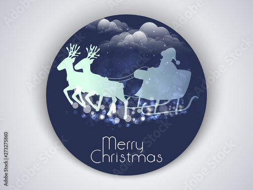 Label, tag and sticker for Merry Christmas.