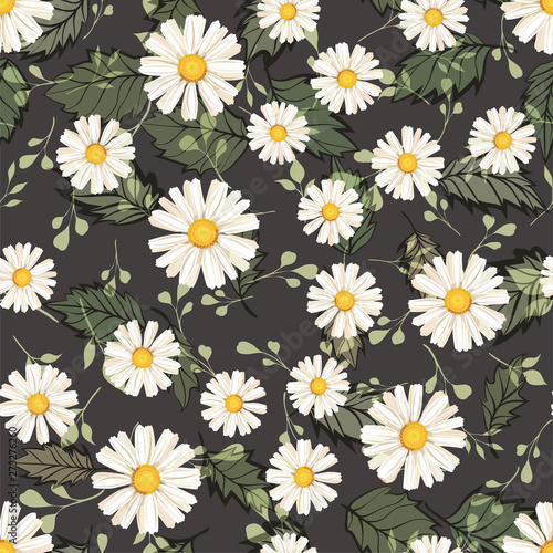 pattern. seamless. White daisies. daisy, flower