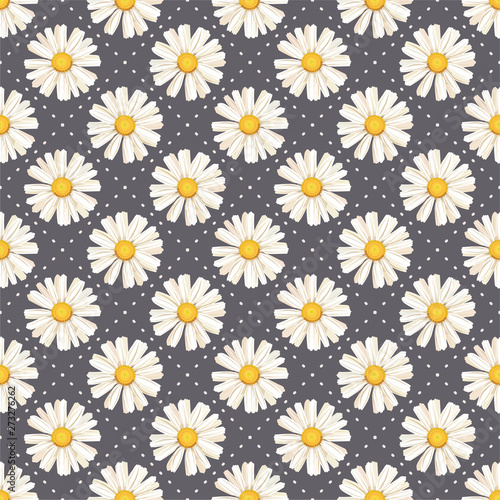 pattern. seamless. White daisies. daisy, flower