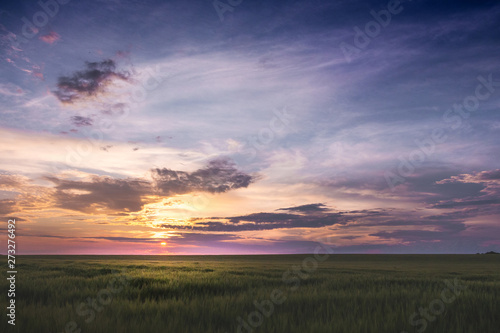 Scenic sunset above field with green grass_