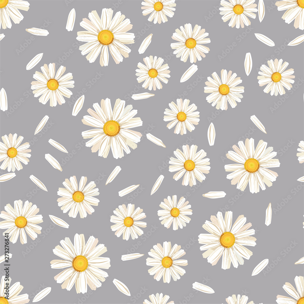 pattern. seamless. White daisies. daisy, flower pattern. seamless. White daisies. daisy, flower
