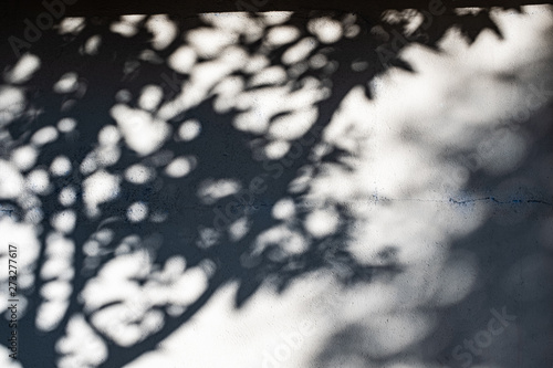 Blurry tree branches shadow silhouette on a grey texture wall