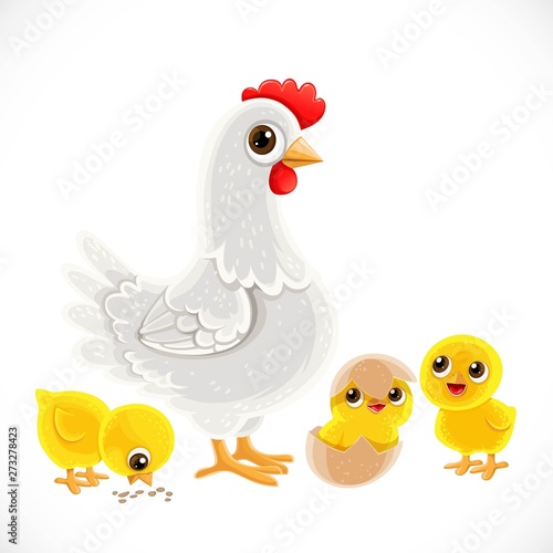 Cute cartoon white chicken with chickens isolated on white background