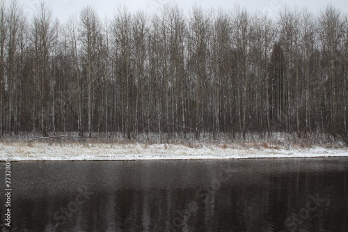  Gray row of trees on a frozen river