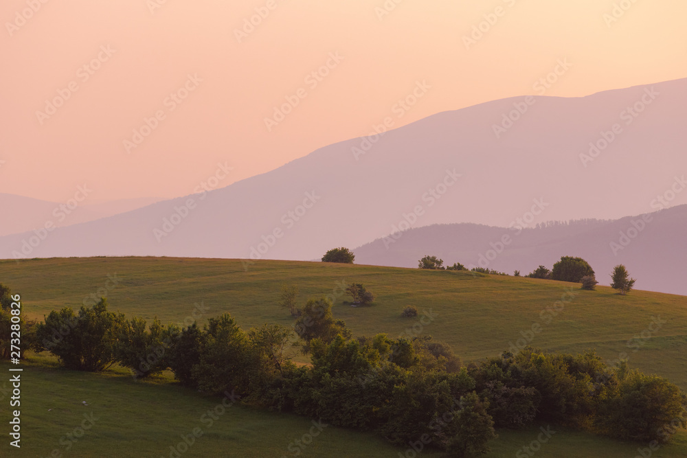 landscape nature summer landscape nature summer