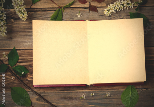 album with open pages and blossom bird-cherry