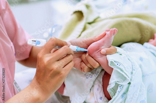 Hands of pediatric nurse holding and using Accu-Chek Fastclix (needle pen for blood and glucose check) stab on sick newborn baby foots to prepare check glucose in his blood at NICU wards. photo