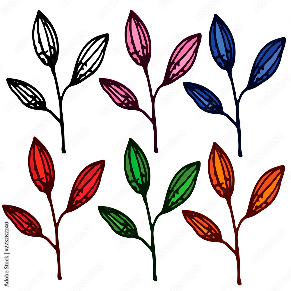vector set of autumn leaves isolated on white background vector set of autumn leaves isolated on white background