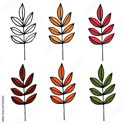 vector set of autumn leaves isolated on white background