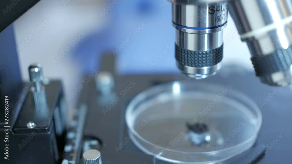 Scientist in a laboratory analyzes the soil inside to collect the DNA. Senior male researcher carrying out scientific research in a lab. analysis, dna, bio, microbiology, augmented reality Scientist in a laboratory analyzes the soil inside to collect the DNA. Senior male researcher carrying out scientific research in a lab. analysis, dna, bio, microbiology, augmented reality