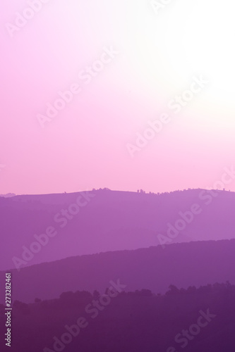 ultra violet purple summer landscape