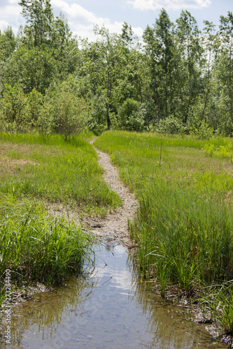 a stream of water flowing into the river