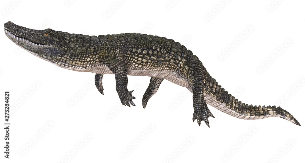 Naklejka premium A reference image Alligator isolated on white background 3d illustration