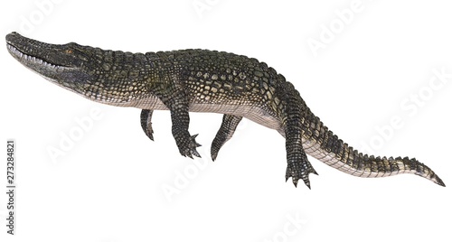 A reference image Alligator isolated on white background 3d illustration © max79im