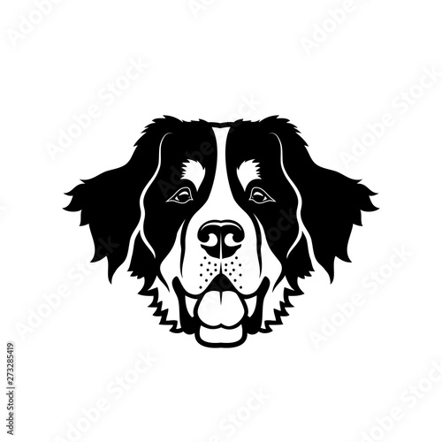 Bernese mountain dog - isolated vector illustration - Vector