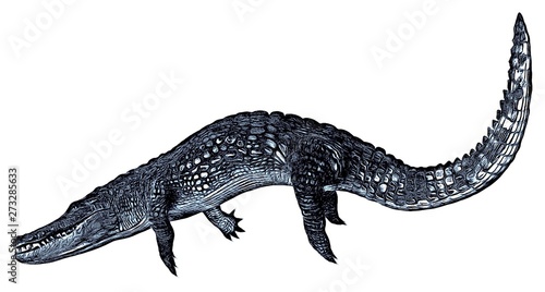 Sketch of alligator isolated on a white background © max79im