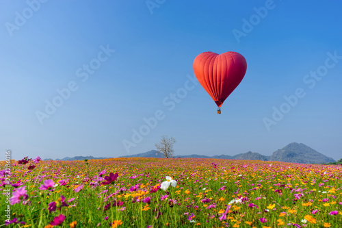 Red hot air balloon in the shape of a heart over cosmos flower field