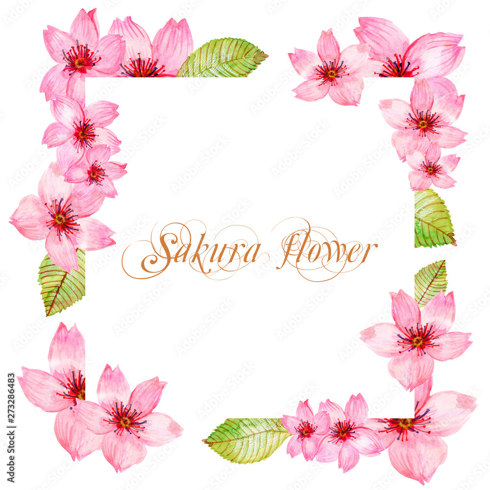 Watercolor pink cherry blossom sakura japan season flower isolated frame border on white background for card wallpaper invitation