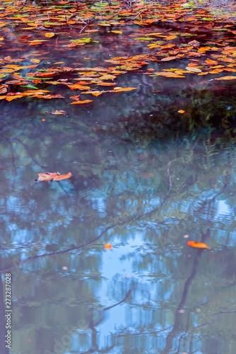 autumn reflection on landscape lake